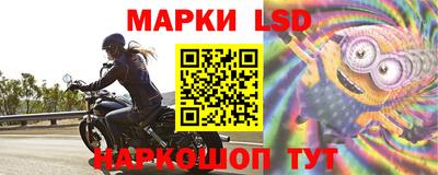 spice Краснознаменск