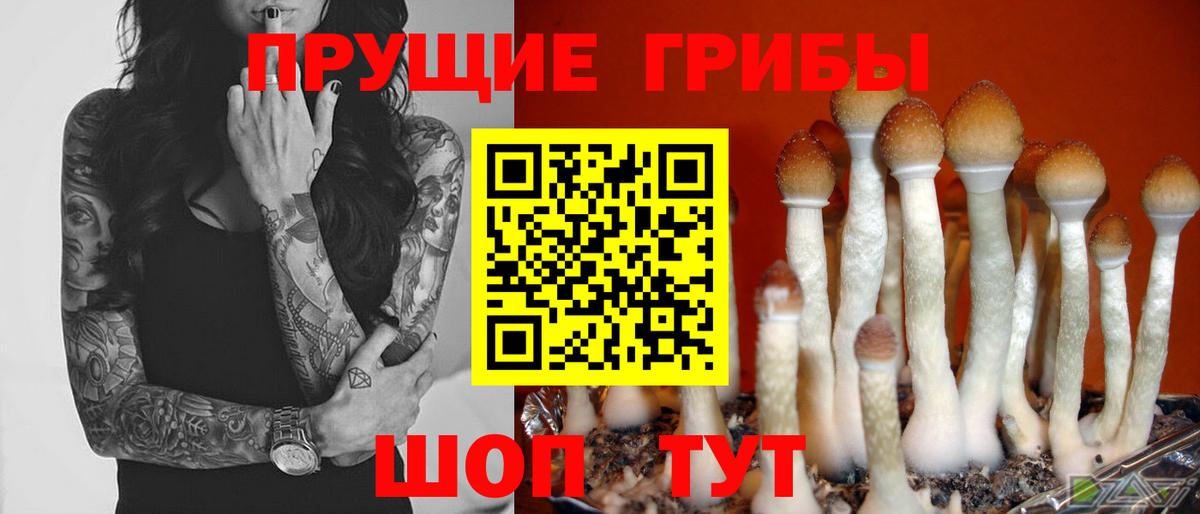 Псилоцибиновые грибы ЛСД  Вход с VPN  Чита 